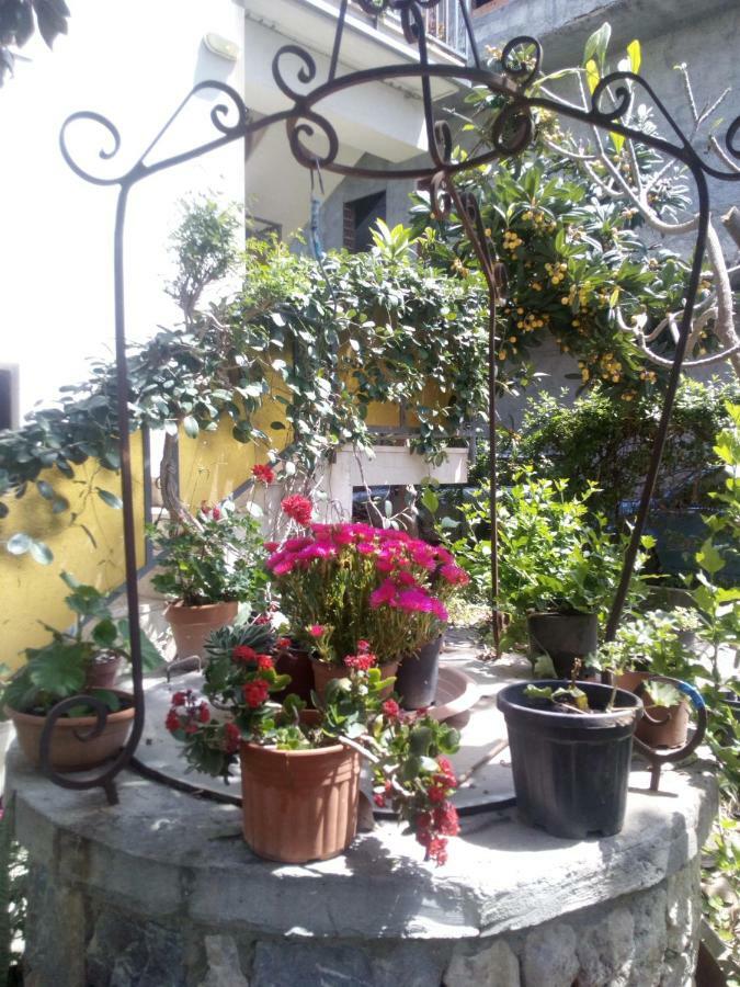 Casa Vacanze Terme Terme Vigliatore Eksteriør billede