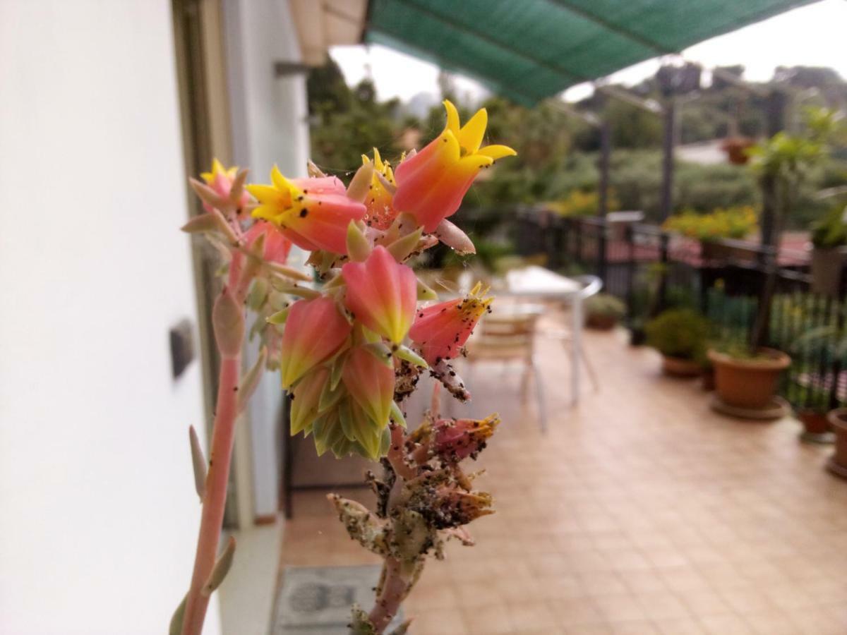 Casa Vacanze Terme Terme Vigliatore Eksteriør billede
